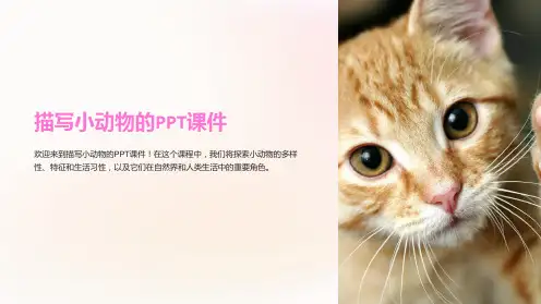 描写小动物的课件