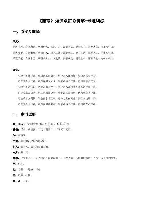 《蒹葭》知识点汇总与专项训练(解析版)