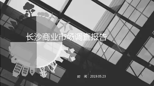 房地产市场-2019年长沙商业市场调查报告+部分个案分析