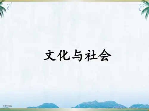 人教版高中思想政治必修三《文化与社会》教学课件
