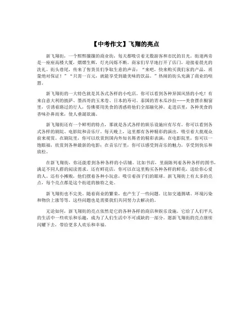 【中考作文】飞翔的亮点