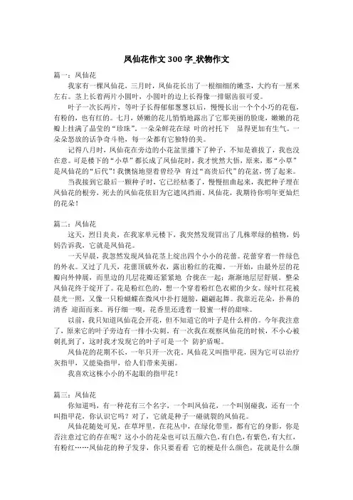 凤仙花作文300字_状物作文