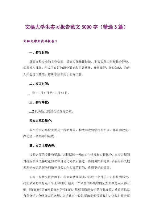文秘大学生实习报告范文3000字(精选3篇)