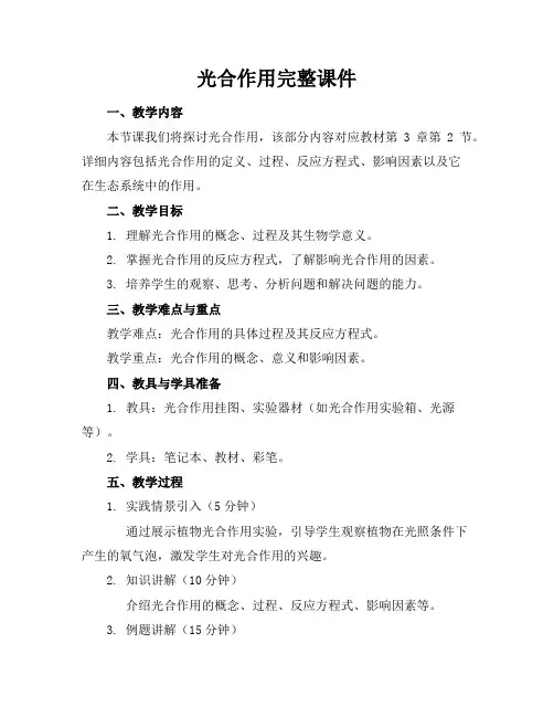 光合作用完整课件