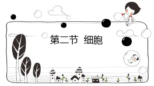 浙教版七年级科学上册《细胞》PPT课件