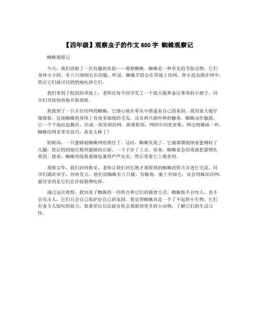 【四年级】观察虫子的作文600字 蜘蛛观察记