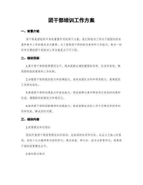 团干部培训工作方案