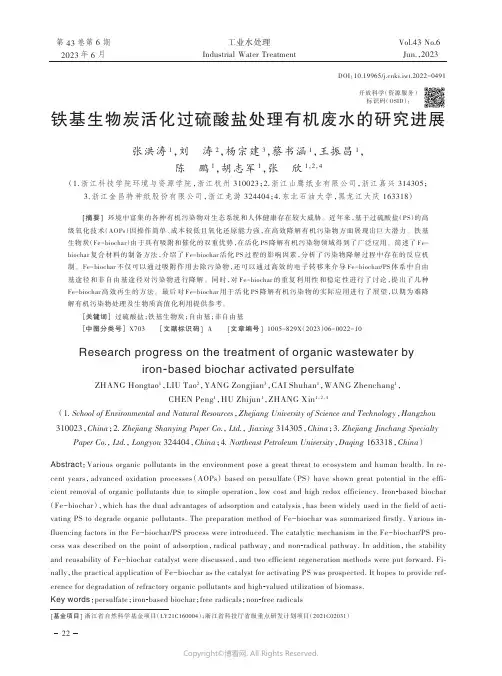 219385433_铁基生物炭活化过硫酸盐处理有机废水的研究进展