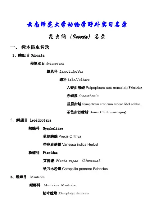 昆虫名录