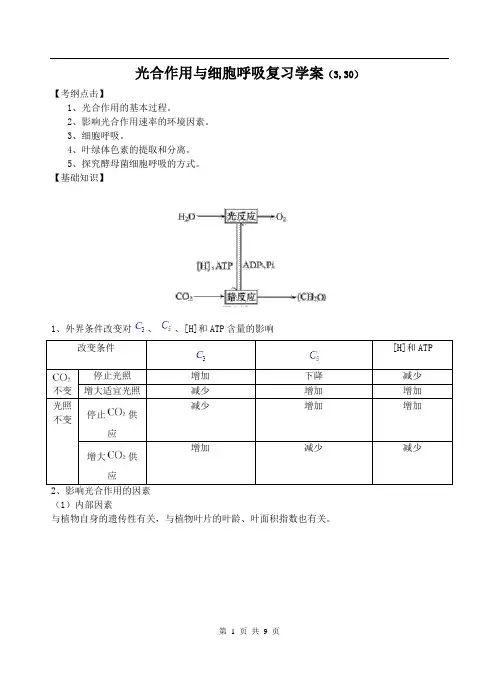 人教版教学教案光合呼吸复习学案
