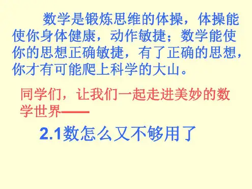 数怎么不够用了[上学期]--北师大版