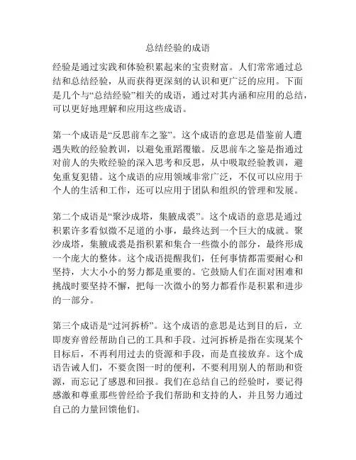 总结经验的成语