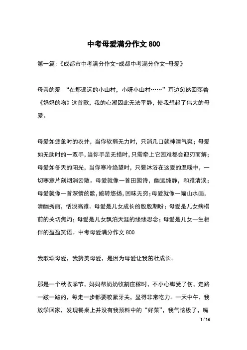 中考母爱满分作文800