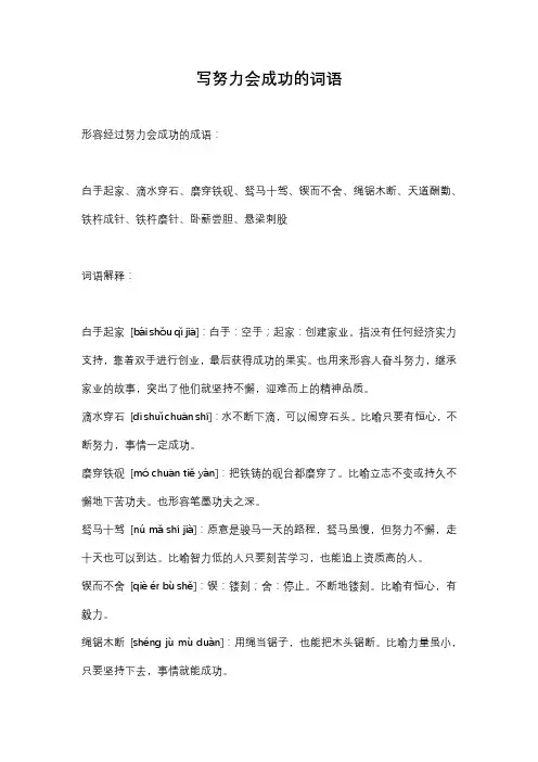 写努力会成功的词语