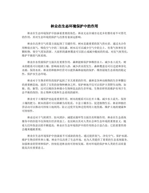 林业在生态环境保护中的作用