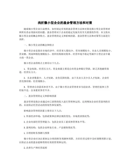 浅析微小型企业的盈余管理方法和对策