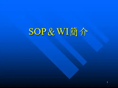 SOPWI简介