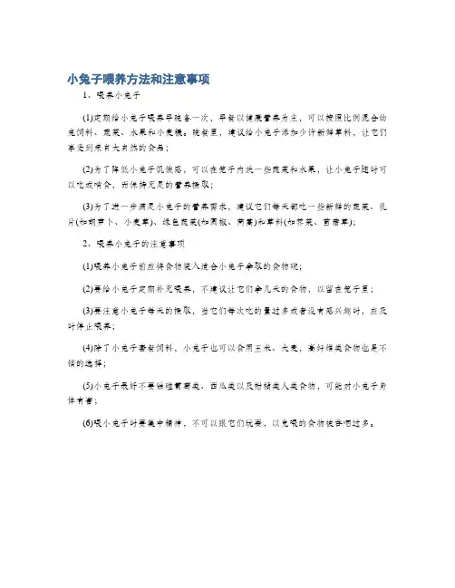 小兔子喂养方法和注意事项
