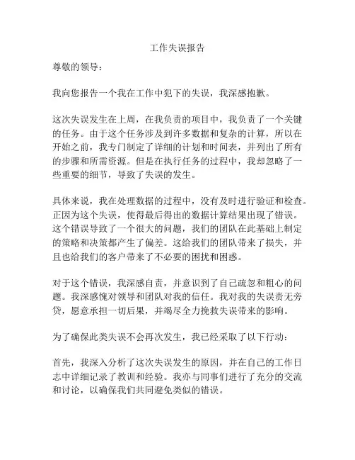 工作失误报告