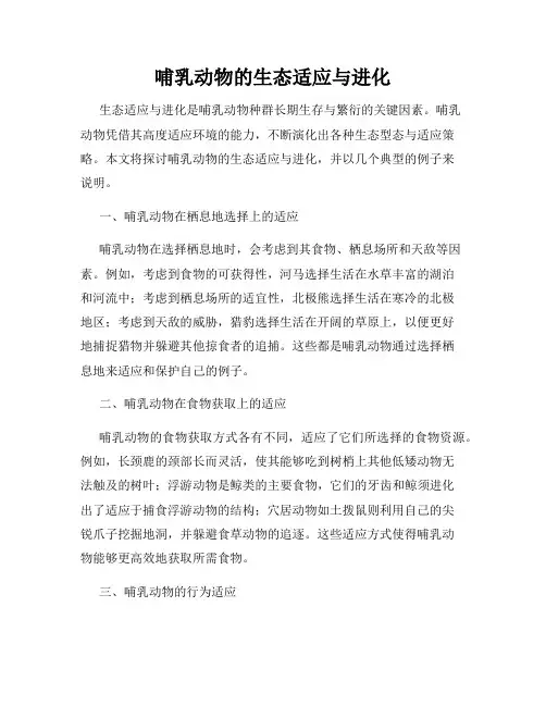 哺乳动物的生态适应与进化