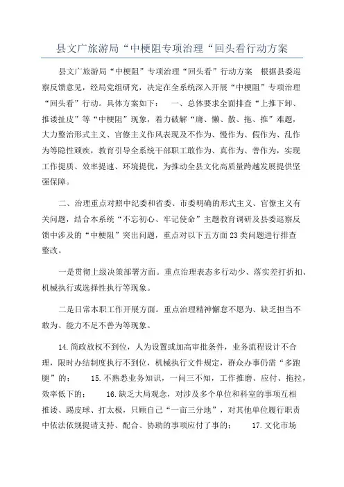 县文广旅游局“中梗阻专项治理“回头看行动方案