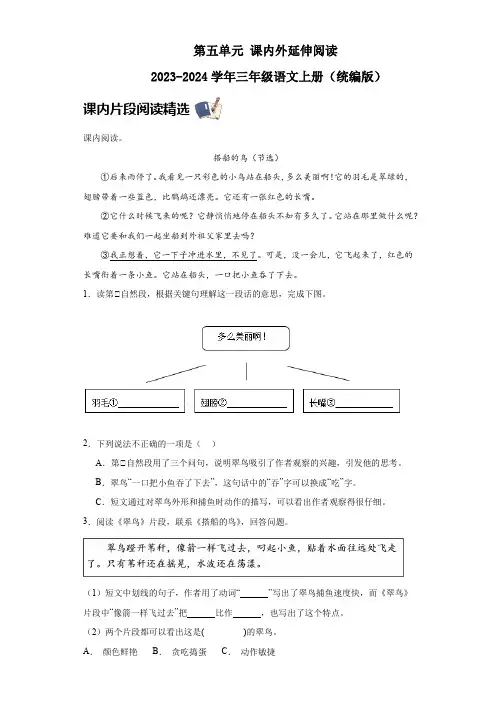 第五单元课内外延伸阅读(含答案)2023-2024学年三年级语文上册(统编版)
