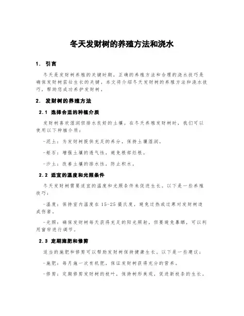 冬天发财树的养殖方法和浇水