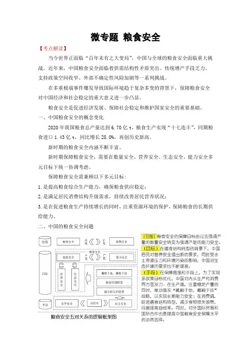 粮食安全(微专题)