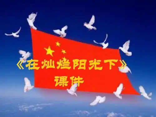 《在灿烂阳光下》课件3