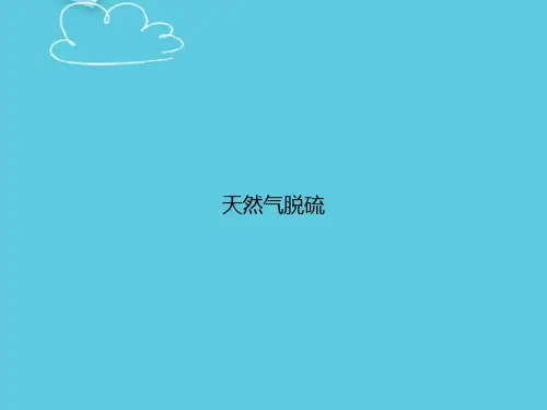 天然气脱硫精选PPT