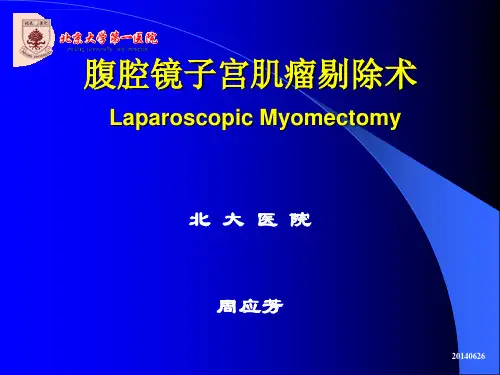 子宫肌瘤的腹腔镜手术ppt课件