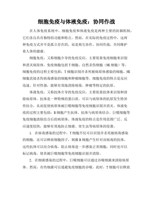细胞免疫与体液免疫：协同作战
