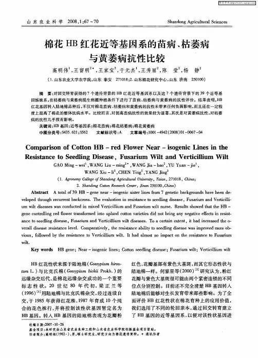 棉花HB红花近等基因系的苗病、枯萎病与黄萎病抗性比较