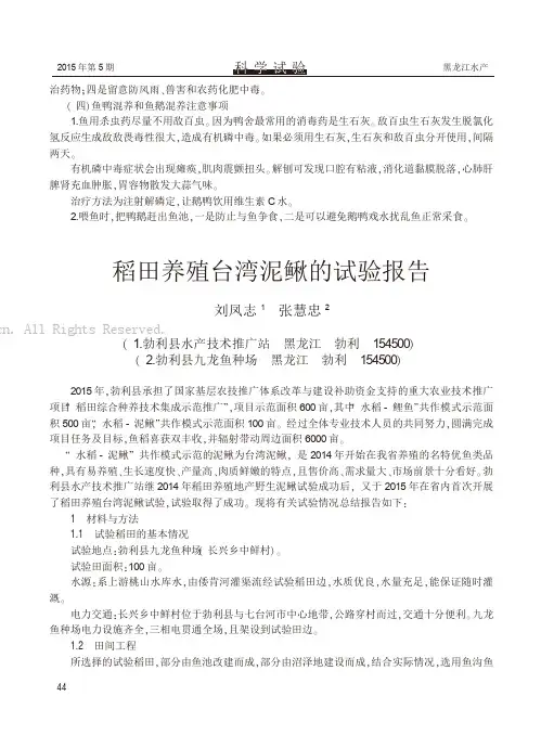 稻田养殖台湾泥鳅的试验报告