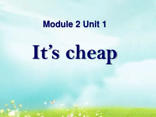 《It's cheap》PPT精品教学课件3