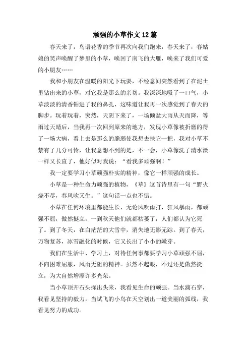顽强的小草作文12篇