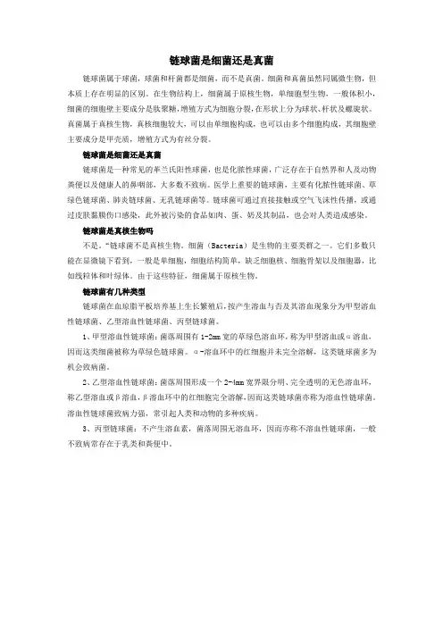 链球菌是细菌还是真菌