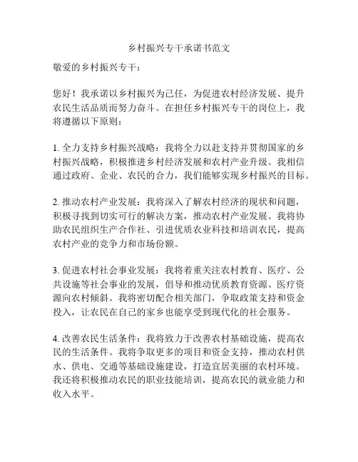 乡村振兴专干承诺书范文