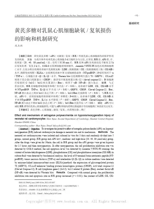 黄芪多糖对乳鼠心肌细胞缺氧复氧损伤的影响和机制研究