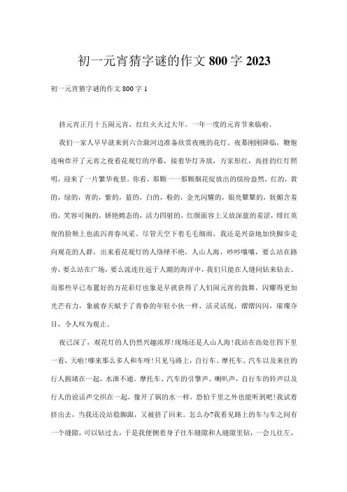 初一元宵猜字谜的作文800字2023