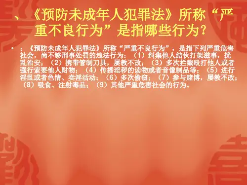 未成年人的不良行为PPT课件