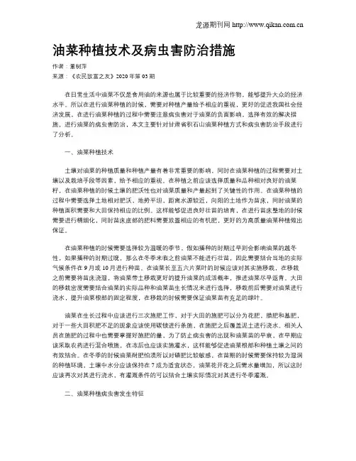油菜种植技术及病虫害防治措施