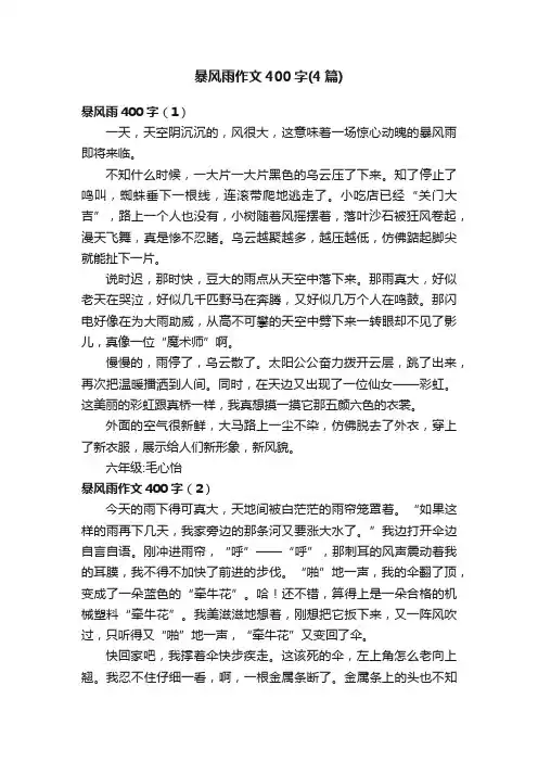 暴风雨作文400字（4篇）