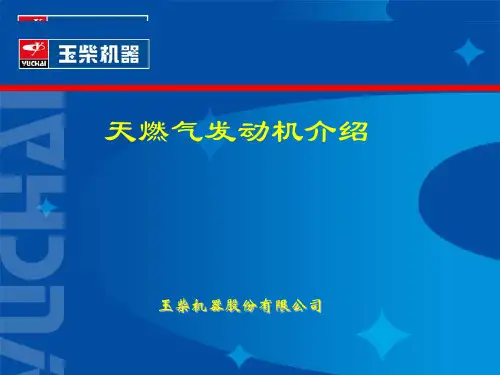 玉柴气体机CNG培训教材