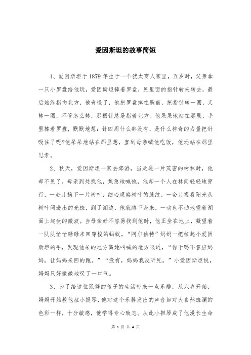 爱因斯坦的故事简短