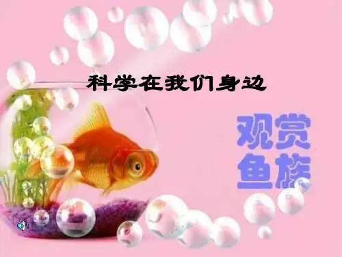 三年级上科学课件科学在我们身边青岛版