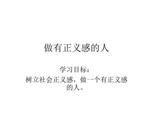 九年级政治维护正义-遵守规则