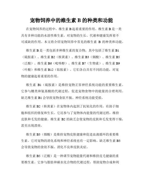 宠物饲养中的维生素B的种类和功能