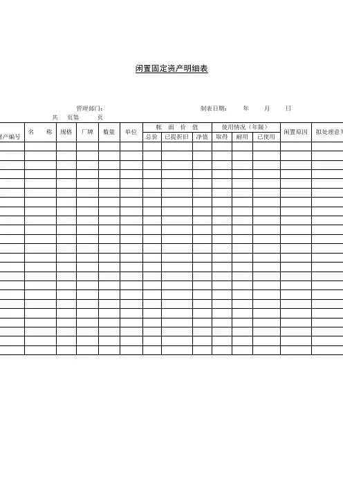 闲置固定资产明细表格式