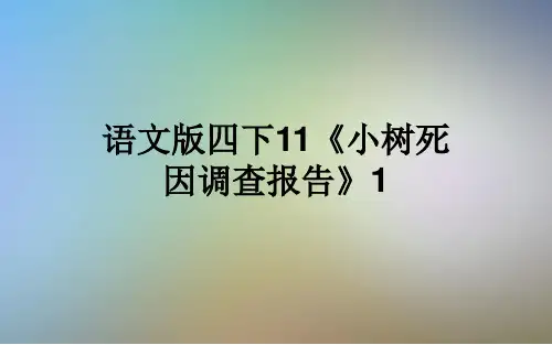语文版四下11《小树死因调查报告》1